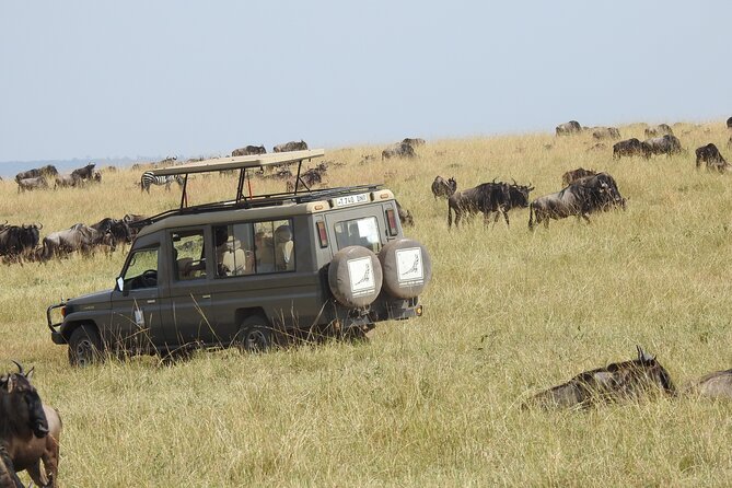 4-Day Tarangire, Serengeti, Ngorongoro Crater - Day 2: Crossing into the open Serengeti