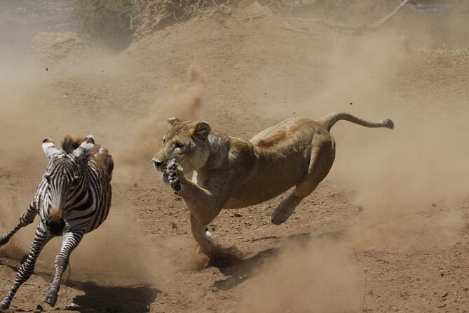 4 days 3 nights Safari- Tarangire, Serengeti and Ngorongoro Crater - Day four: down into Ngorongoro Crater