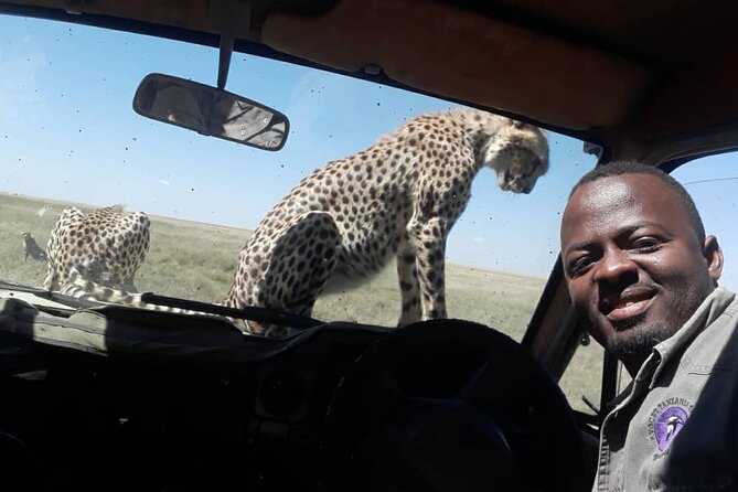 4 Days Group Joining Camping Safari to Tarangire Serengeti Ngorongoro Crater - The real value of a group safari