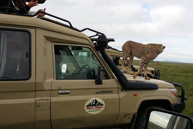 4 Days Join Group tour Tarangire Serengeti and Ngorongoro crater - Day four: down into Ngorongoro Crater