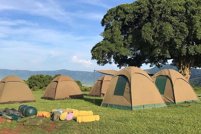 4 Days Join Group tour Tarangire Serengeti and Ngorongoro crater - What the six-person jeep changes
