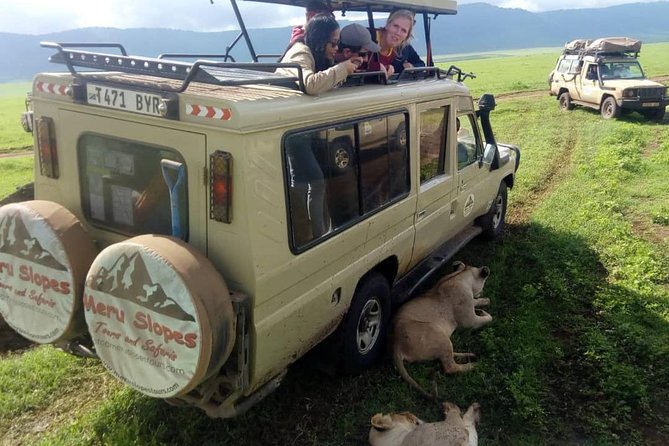 4 Days Join Group tour Tarangire Serengeti and Ngorongoro crater - Food, camping, and the practical side of comfort