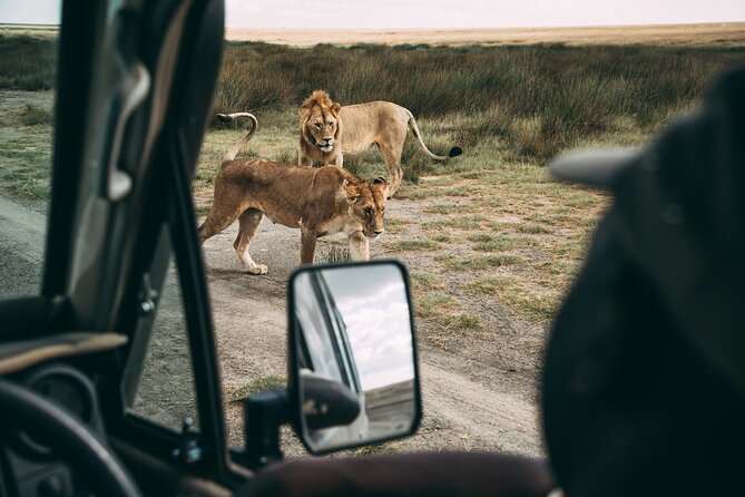4 Days Lodge Safari in Lake Manyara, Serengeti & Ngorongoro Crater - Day 1: Lake Manyara beneath the Rift Valley Escarpment