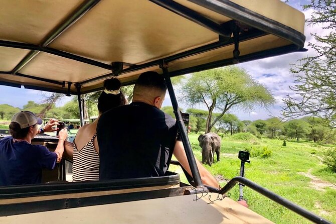 4 Days lodge safari Tarangire , Ngorongoro crater & Walking - Day 4: Farms, Maasai culture, and Mto wa Mbu