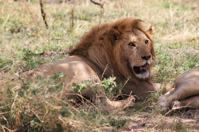 4 Days lodge safari Tarangire , Ngorongoro crater & Walking - Food, lodging, and what the price covers
