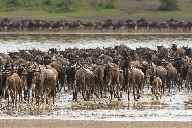 4 Days Lodges Serengeti, Ngorongoro Crater & Visiting Maasai - What the $1,500 price really covers