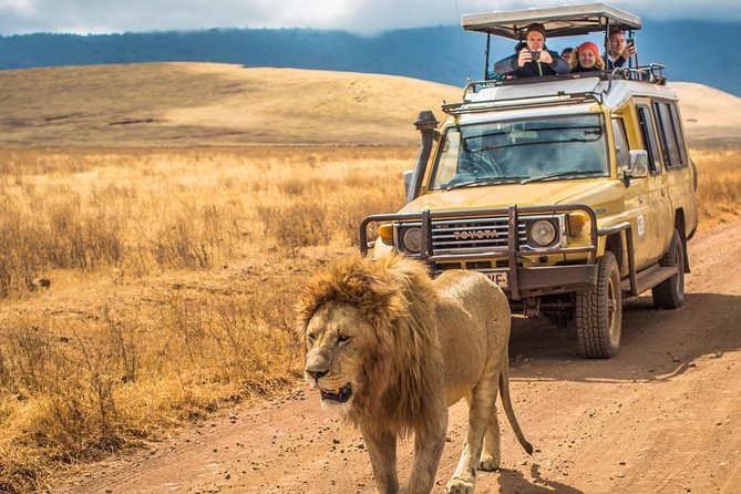4 Days Private Safari - Tarangire, Serengeti & Ngorongoro Crater - A short final Serengeti drive before Ngorongoro