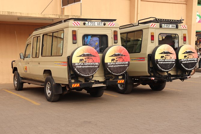 4 Days Private Safari - Tarangire, Serengeti & Ngorongoro Crater - Guides can make or break the safari