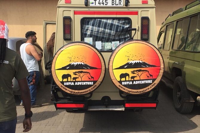 4 Days Private Safari - Tarangire, Serengeti & Ngorongoro Crater - Who should book this safari
