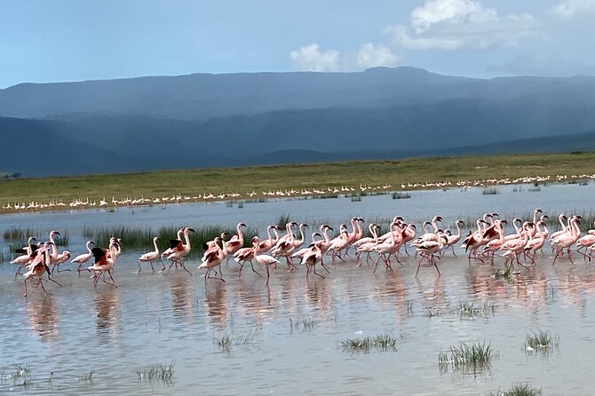 4 Days Private Tour Tarangire Crater and Serengeti - Day two: crossing toward the endless plains