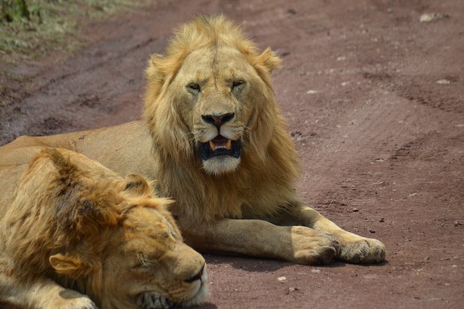 4 Days Tanzania Private safari to Serengeti ,ngorongoro crater and Tarangire - Food, accommodation, and comfort
