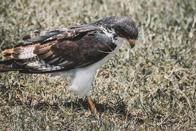 4 Days Tarangire, Serengeti and Ngorongoro Crater Camping Safari - The small group and guide support