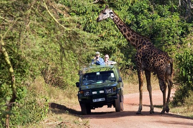 4 Days Tarangire Serengeti Ngorongoro Crater - Who should choose this safari