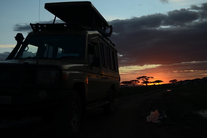 4 Days Tarangire ,Serengeti &Ngorongoro crater group Tour - Day three: Sunrise in the central Serengeti