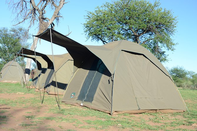 4 Days Tarangire ,Serengeti &Ngorongoro crater group Tour - Day four: Ngorongoro Crater from rim to floor