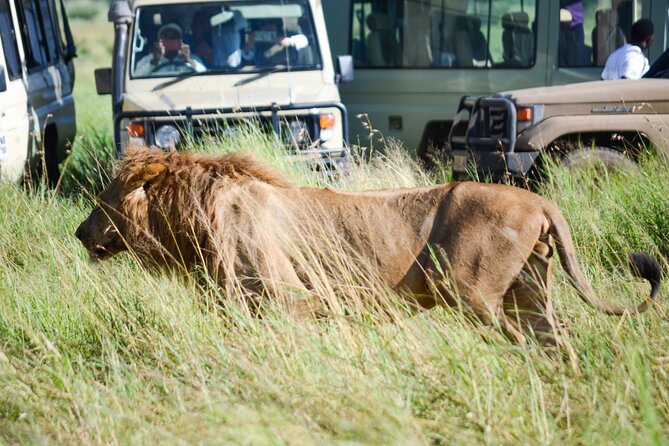 4 Days Tarangire ,Serengeti &Ngorongoro crater group Tour - Day two: The long road toward Serengeti