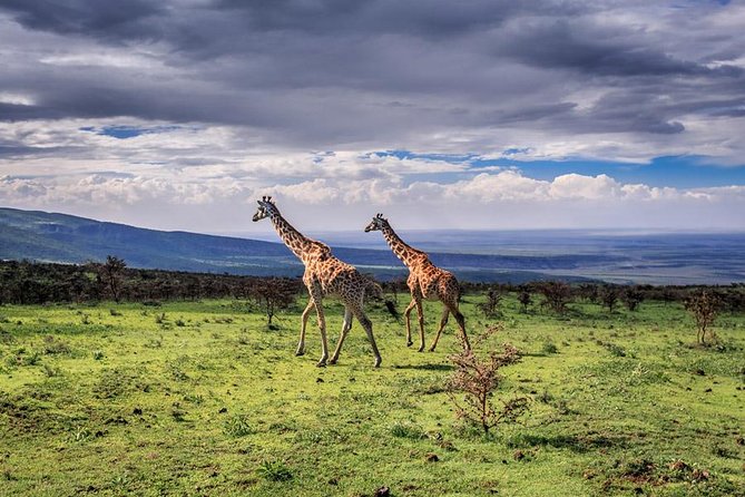 4 Days Tarangire Serengeti Ngorongoro Crater - Day two: The long road toward Serengeti