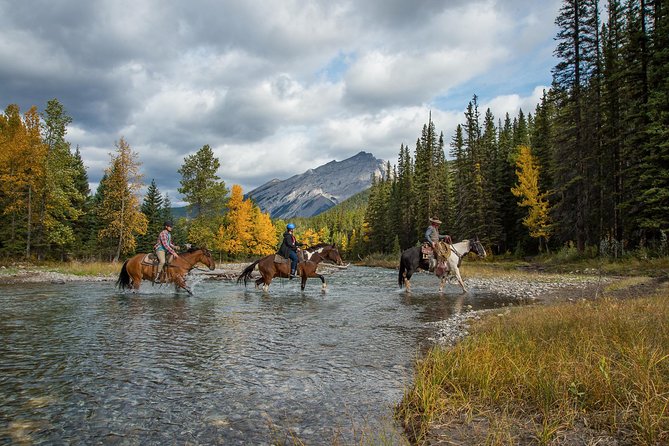 4 Hour Sulphur Mountain Horseback Ride - Bow Falls and the ride back