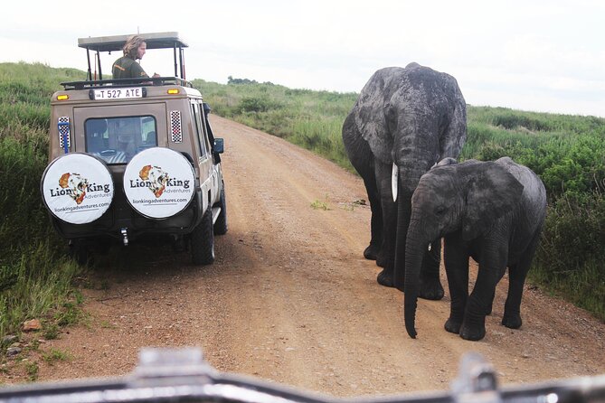 5-Day Highlights mid-Range Crater, Serengeti, Tarangire - Starting in Arusha at Arusha Planet Lodge