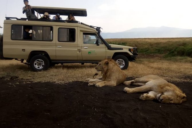 5 Day Silver Serengeti & Ngorongoro Crater & Tarangire Safari - Day one: an easy start at the Outpost Lodge in Arusha