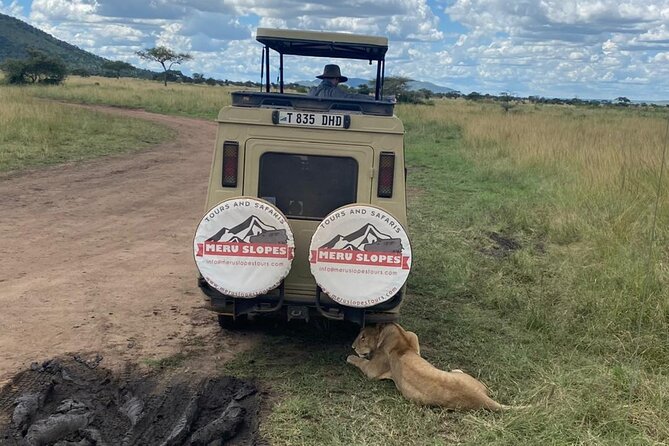 5 Days Camping Tarangire, Serengeti & Ngorongoro crater & Visiting Maasai - Day 4: Sunrise, more Serengeti, and the move to Ngorongoro