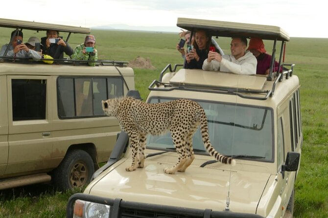 5 Days Camping Tarangire, Serengeti & Ngorongoro crater & Visiting Maasai - Day 5: Ngorongoro Crater and Mto wa Mbu