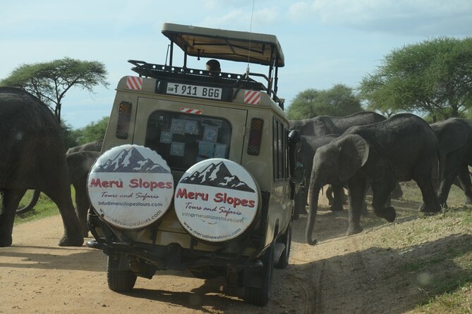 5 Days Camping Tarangire, Serengeti & Ngorongoro crater & Visiting Maasai - Camping comfort, food, and the guide team