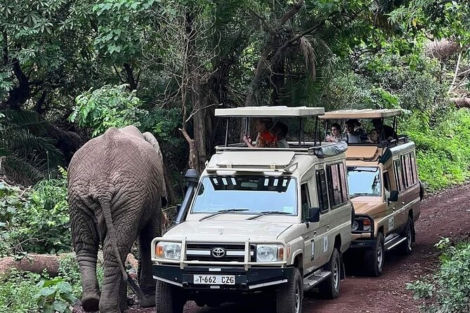 5-Days Lake Manyara, Serengeti, Ngorongoro Crater and Tarangire - Four parks, one compact safari