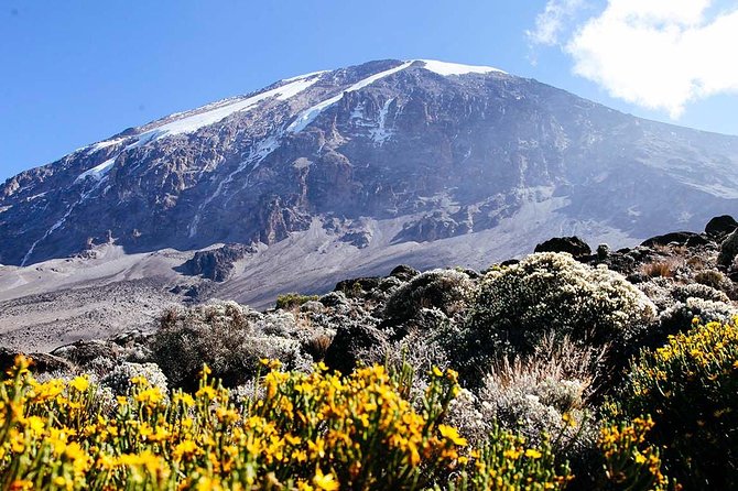 5 Days Marangu Route - Mount Kilimanjaro Trek - Day 4: across the saddle to Kibo Hut