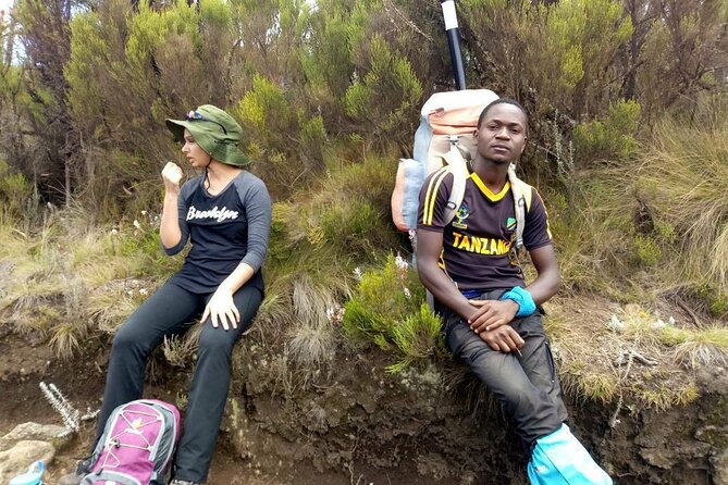 5 Days Marangu Route - Mount Kilimanjaro Trek - Day 3: Mandara to Horombo at 3,700 meters