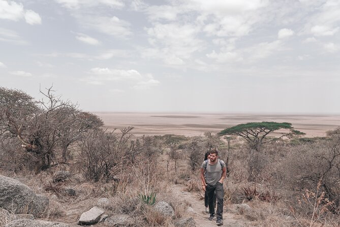 5-Days Private Safari Tour in Trangire, Serengeti, and Ngorongoro Crater - Day 1: Tarangire and its elephant herds