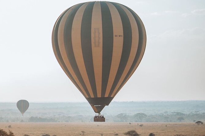 5-Days Private Safari Tour in Trangire, Serengeti, and Ngorongoro Crater - What the private format is worth