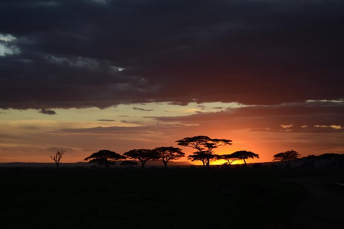 5days Tanzania Safari lodge and camping Serengeti, Tarangire & Ngorongoro Crater - Key points to know before you book