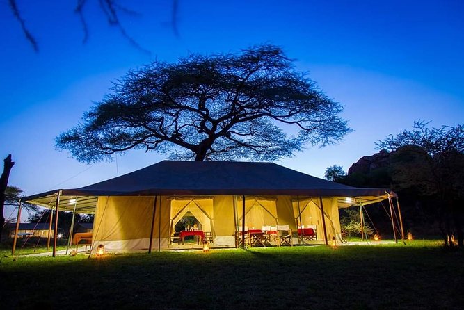 5days Tarangire,Serengeti,ngorongoro Crater and Lake Manyara National park - Day 3: A sunrise game drive in the Serengeti