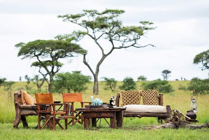 5days Tarangire,Serengeti,ngorongoro Crater and Lake Manyara National park - Day 5: Lake Manyara and the return to Arusha