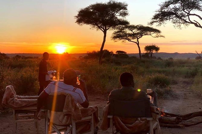 5days Tarangire,Serengeti,ngorongoro Crater and Lake Manyara National park - What the $2,499 price covers