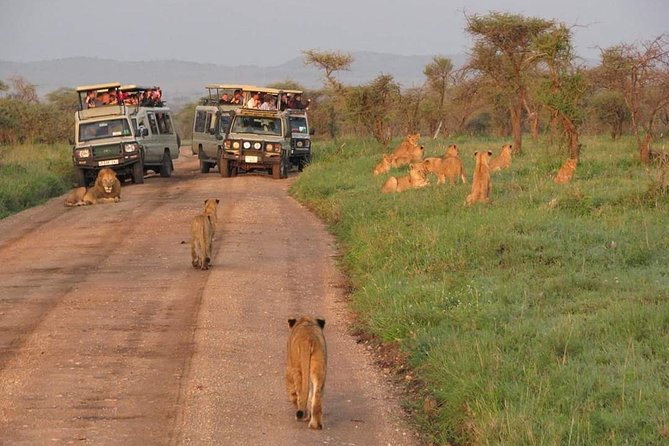 5days Tarangire,Serengeti,ngorongoro Crater and Lake Manyara National park - Food, camping, and the daily rhythm