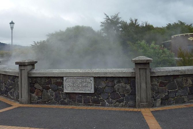 6.5 hour Small-Group Rotorua Naturally Shore Excursion - Tauranga - From Tauranga port to Rotorua’s geothermal basin
