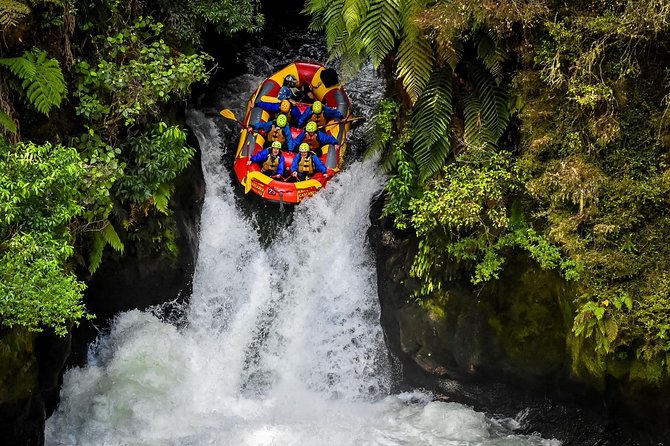 6.5 hour Small-Group Rotorua Naturally Shore Excursion - Tauranga - The Redwoods Treewalk: the day’s main attraction