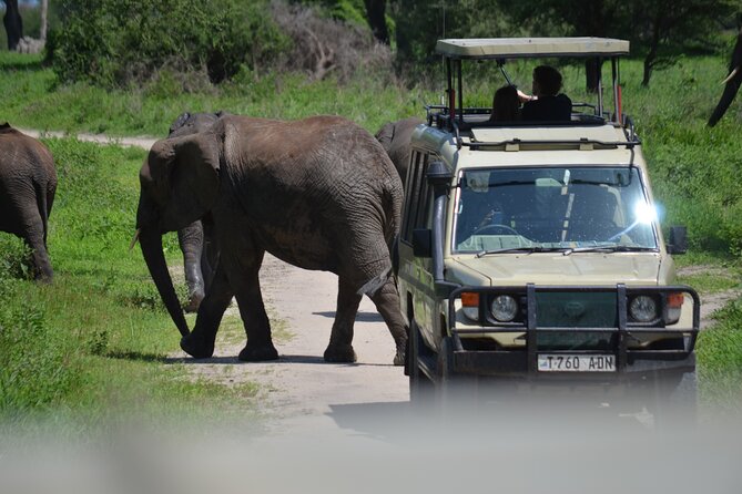 6 Days best adventure kilimanjaro ,Tarangire ,Serengeti &Ngorongoro crater - What the six-day route really offers