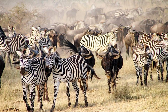 6 Days best adventure kilimanjaro ,Tarangire ,Serengeti &Ngorongoro crater - Materuni Waterfalls and a Chagga village lunch