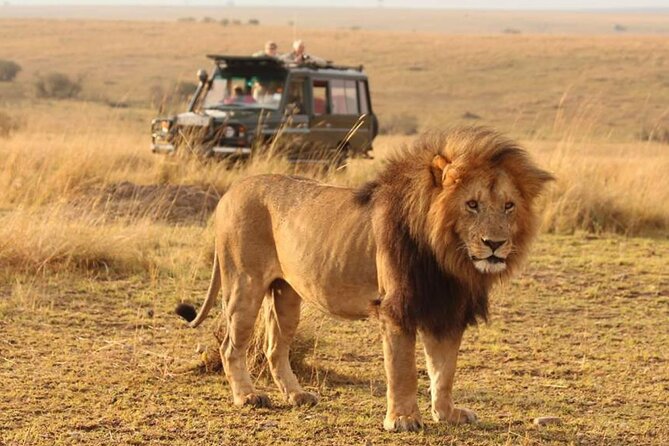 6 Days lodge &camping tour Serengeti ,Tarangire ,Ngorongoro Crater and Manyara - Four northern Tanzania parks in six days
