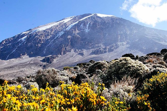 7 Days Machame Route Trek Mount Kilimanjaro - Day 2: Heath and moorland on the way to Shira Camp
