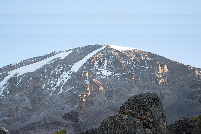 7 Days Machame Route Trek Mount Kilimanjaro - Day 7: Rainforest descent and the Mweka Gate