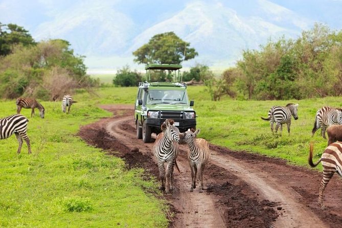 7-Days Private Midrange Safari; Serengeti & Ngorongoro Crater - What this seven-day safari is really like