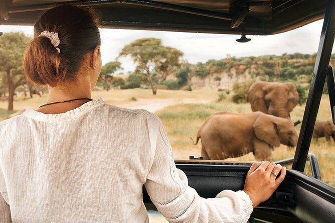 7-Days Private Midrange Safari; Serengeti & Ngorongoro Crater - Day 3: The long road to the Serengeti