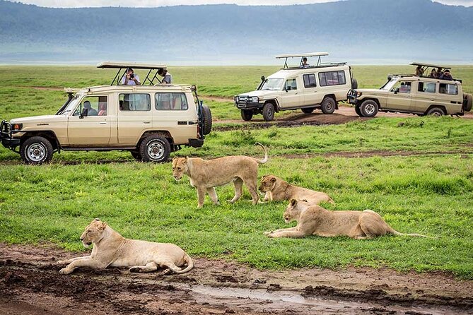 7-Days Private Midrange Safari; Serengeti & Ngorongoro Crater - Day 4: The Serengeti at its quietest