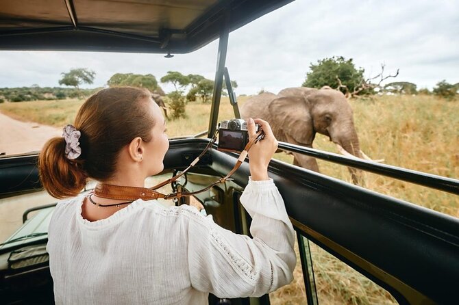 7-Days Private Midrange Safari; Serengeti & Ngorongoro Crater - Day 5: Leaving the plains for Ngorongoro