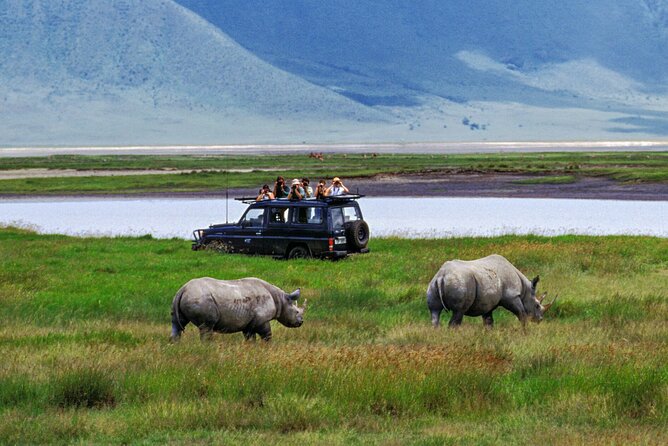 7-Days Private Midrange Safari; Serengeti & Ngorongoro Crater - Day 1: A walking safari in Arusha National Park