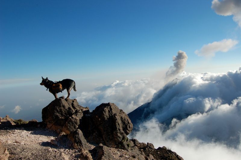 Acatenango Volcano 2-Day Hike - Is $245 a fair price?